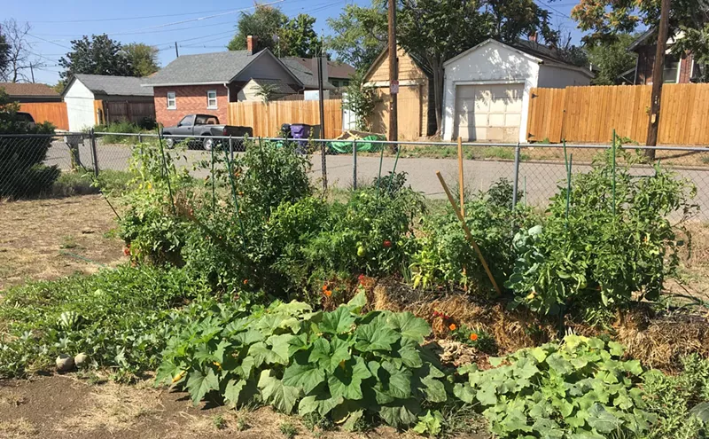 Image: Here's the Dirt on Gardening in Globeville