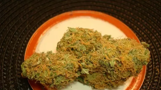 Bright green cannabis buds