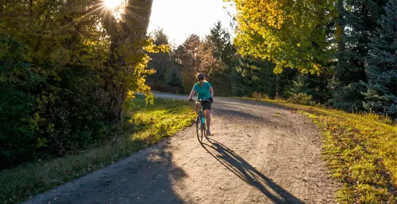 Image: man on bicycle under fall leaves