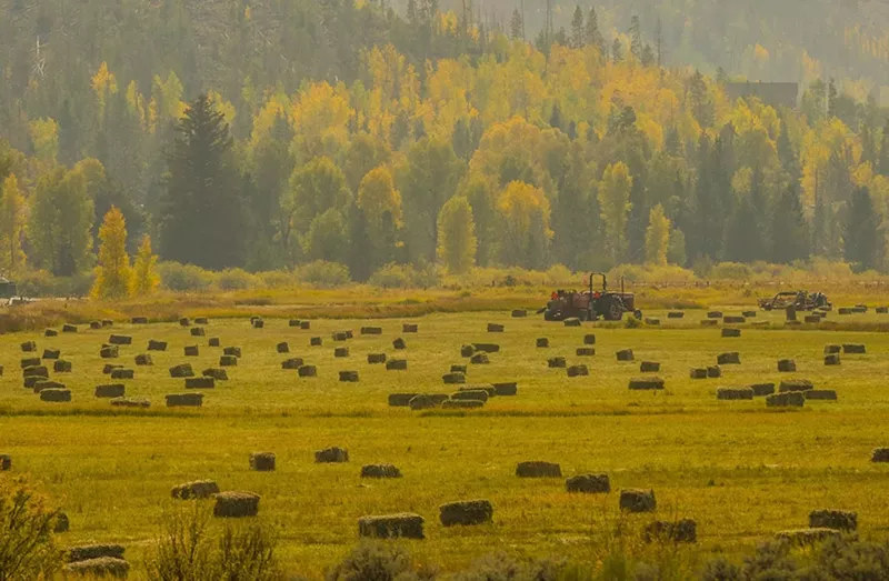 Image: On the road to Grand Lake in September 2020.
