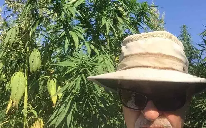 Image: Hot Hemp: How High THC Levels Can Ruin a Legal Hemp Harvest