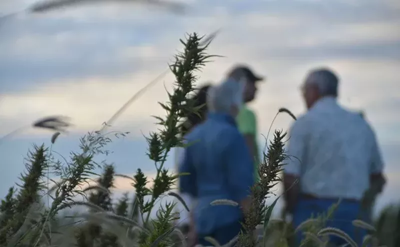 Image: How One Machine Can Change Colorado Hemp Farming
