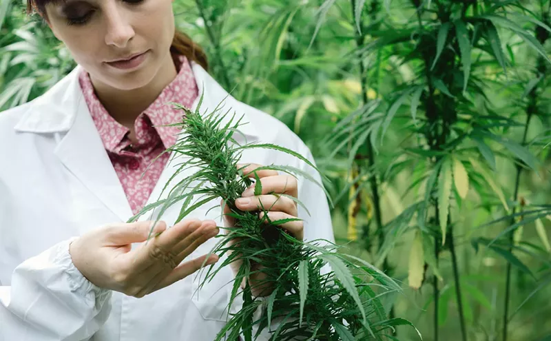 Image: How Women Can Continue Rising in the Cannabis Industry