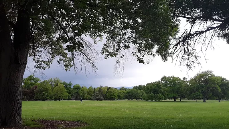 Image: A view of Denver's Cheeseman Park through the trees.
