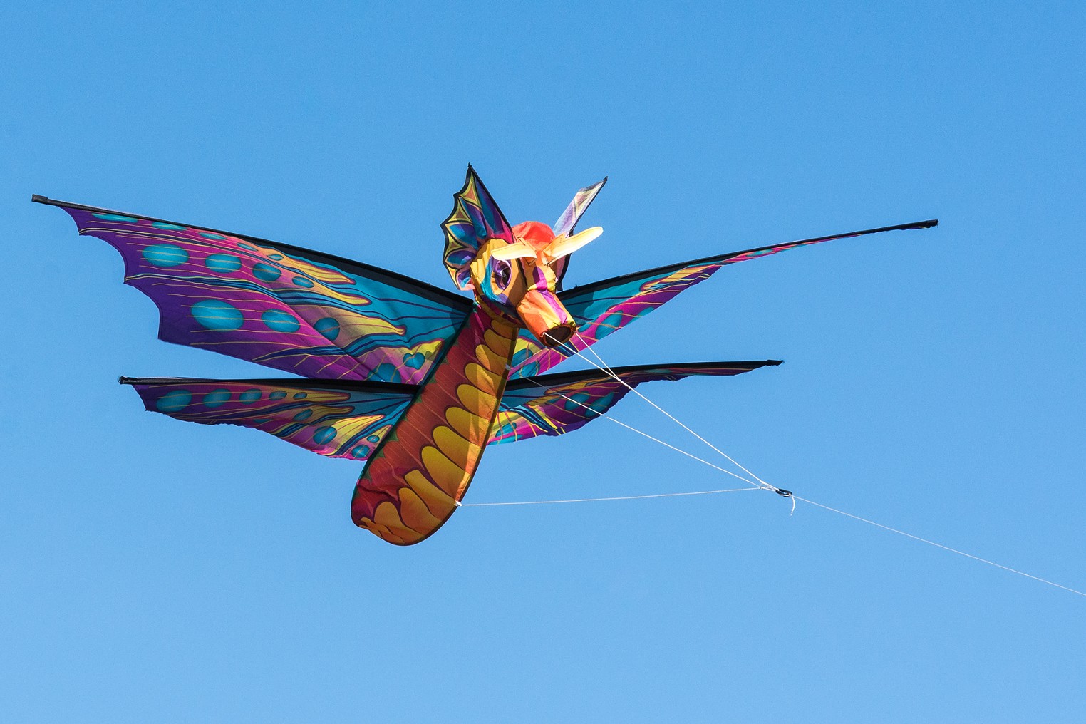 japanese dragon kites