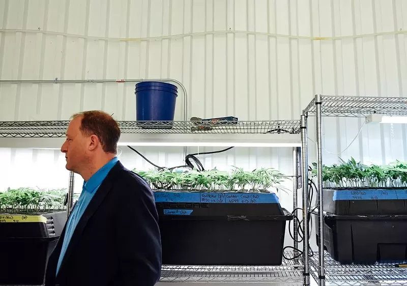 Image: Governor Jared Polis will have to navigate new challenges for Colorado if Congress legalizes cannabis.