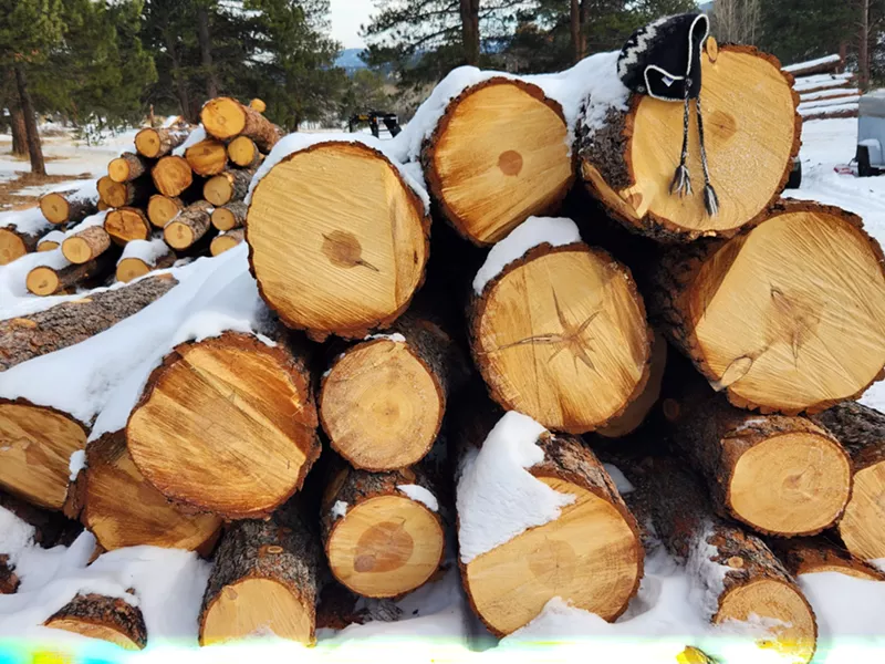 Image: These trees in Elk Meadow Park were cut down at the direction of Jefferson County Open Space.