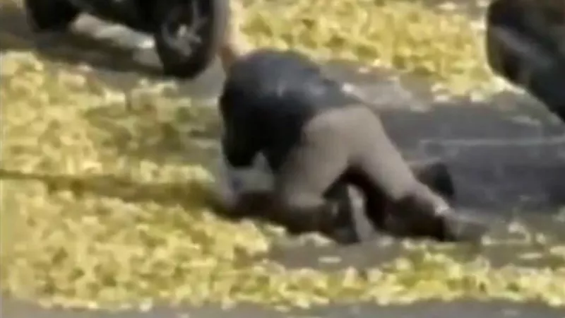 Image: A screen capture from a video showing a Fort Collins police officer on top of Kimberly Chancellor after hurling her to the ground.