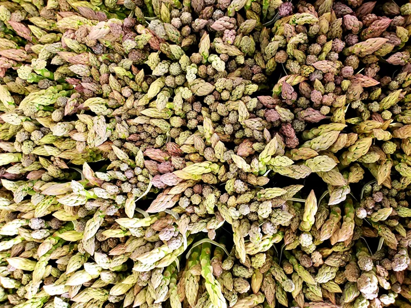 Image: So much beautiful Colorado asparagus from Kiowa Valley Organics.