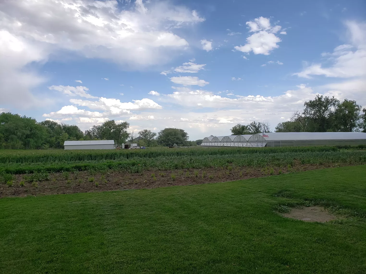 The Fresh Herb Co. Grows Herbs and Flowers for Colorado's Front Range