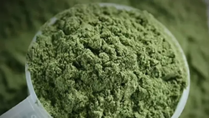 Image: Kratom is also known as mitragyna speciosa.
