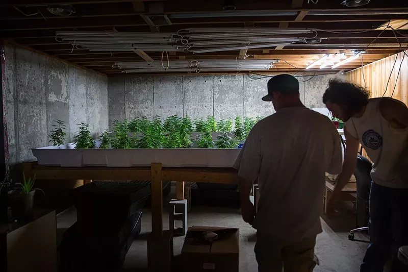 Image: Hemp was federally approved for farming at the end of 2018, leading to a rush of new farmers.