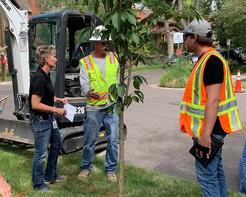 Image: Katy Kaye and her family tried to stop the construction of a 5G small cell pole in her yard by planting a tree where it was supposed to go.