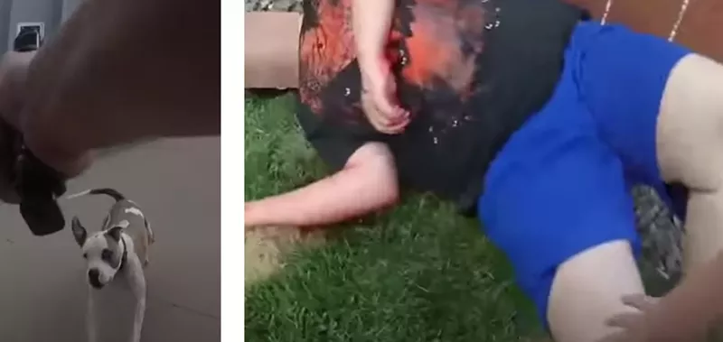 Image: Loveland Police videos released this week show the shooting of a dog named Herkimer and nineteen-year-old Alex Domina.