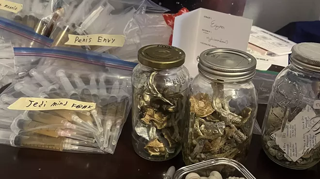 Psilocybin mushrooms and spores on display