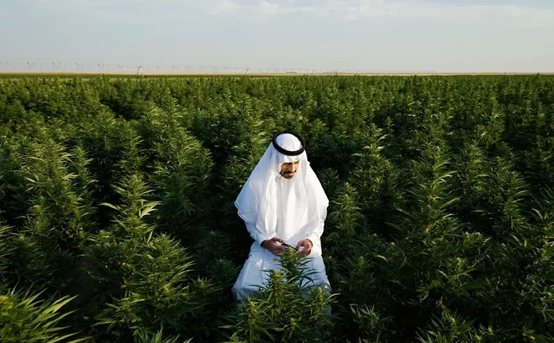 Image: Malek Asfeer Is Taking Cannabis Activism to Saudi Arabia