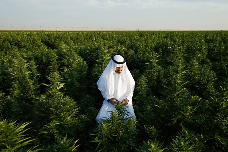 Image: Malek Asfeer's Cannarab project aims to start cannabis conversations in the Middle East that will eventually lead to policy changes.
