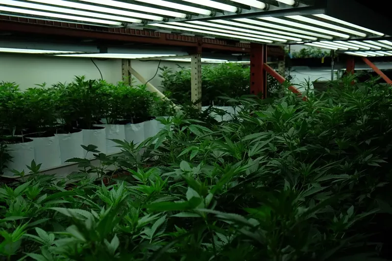 Image: Six years after retail dispensaries opened, marijuana prices still fluctuate.