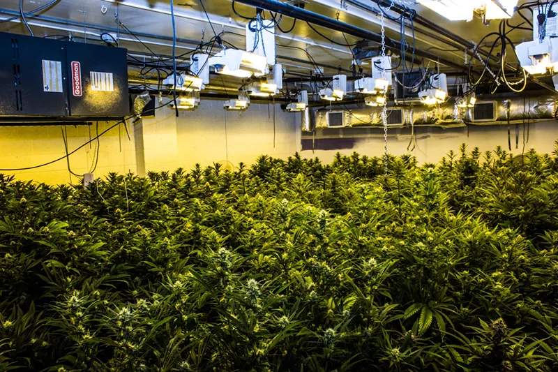 Image: Inside the Lipan facility in which the recalled plants were grown.