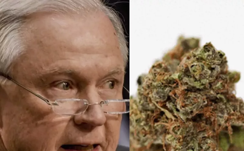 Image: Medicine Man Dispensary Names Marijuana Strain After Jeff Sessions