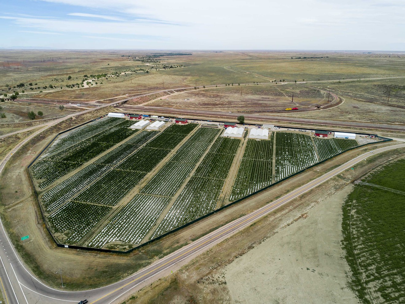 Los Sueños Farms grows commercial marijuana on over 36 acres in Pueblo.