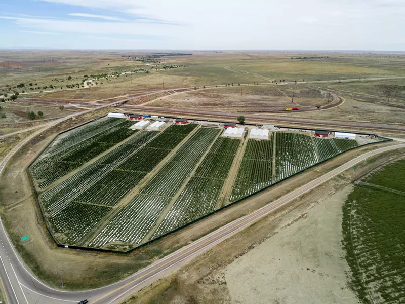 Image: Los Sueños Farms grows commercial marijuana on over 36 acres in Pueblo.