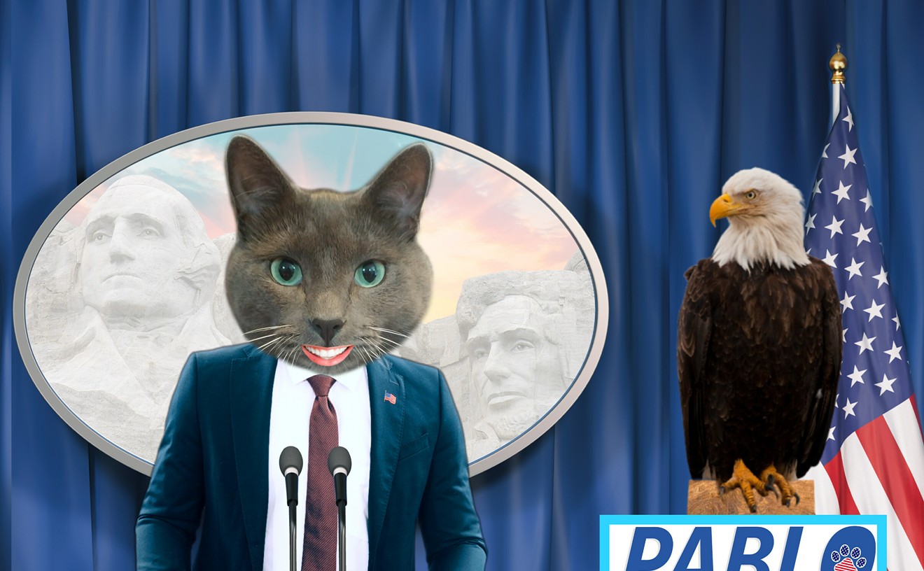 Meet Pablo, the Colorado Cat Running for President