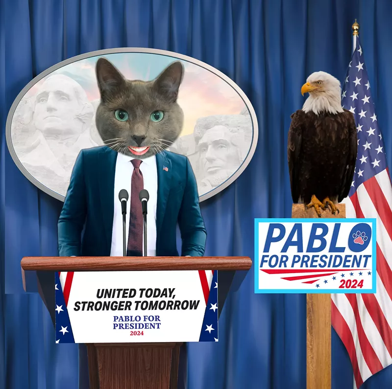 Image: Pablo the Cat, who is running for president out of Colorado, making his announcement speech.