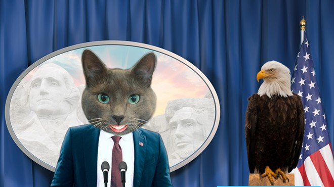 Pablo the Cat, who is running for president out of Colorado, making his announcement speech.