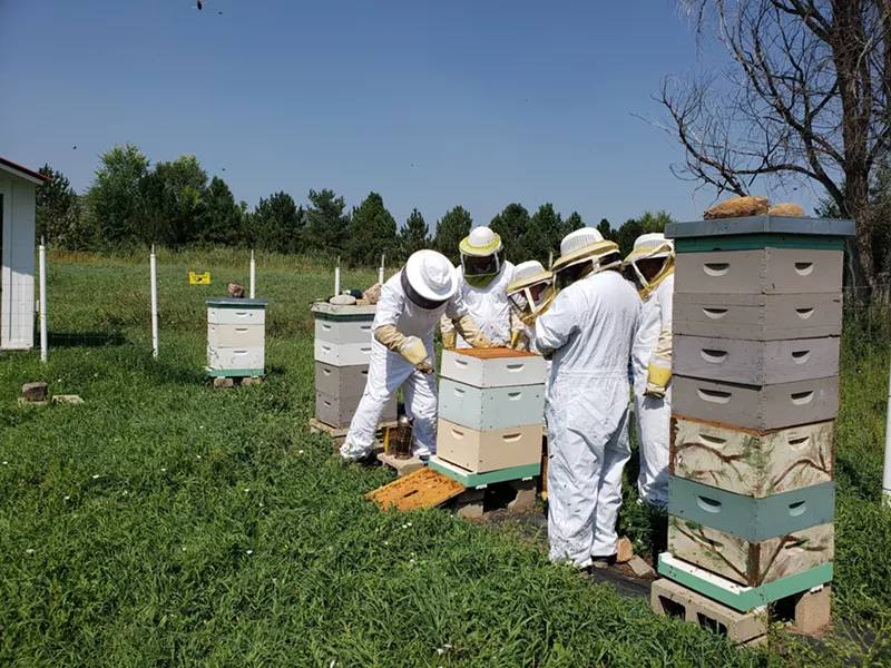 Image: Beekeeping at Chatfield Farms.