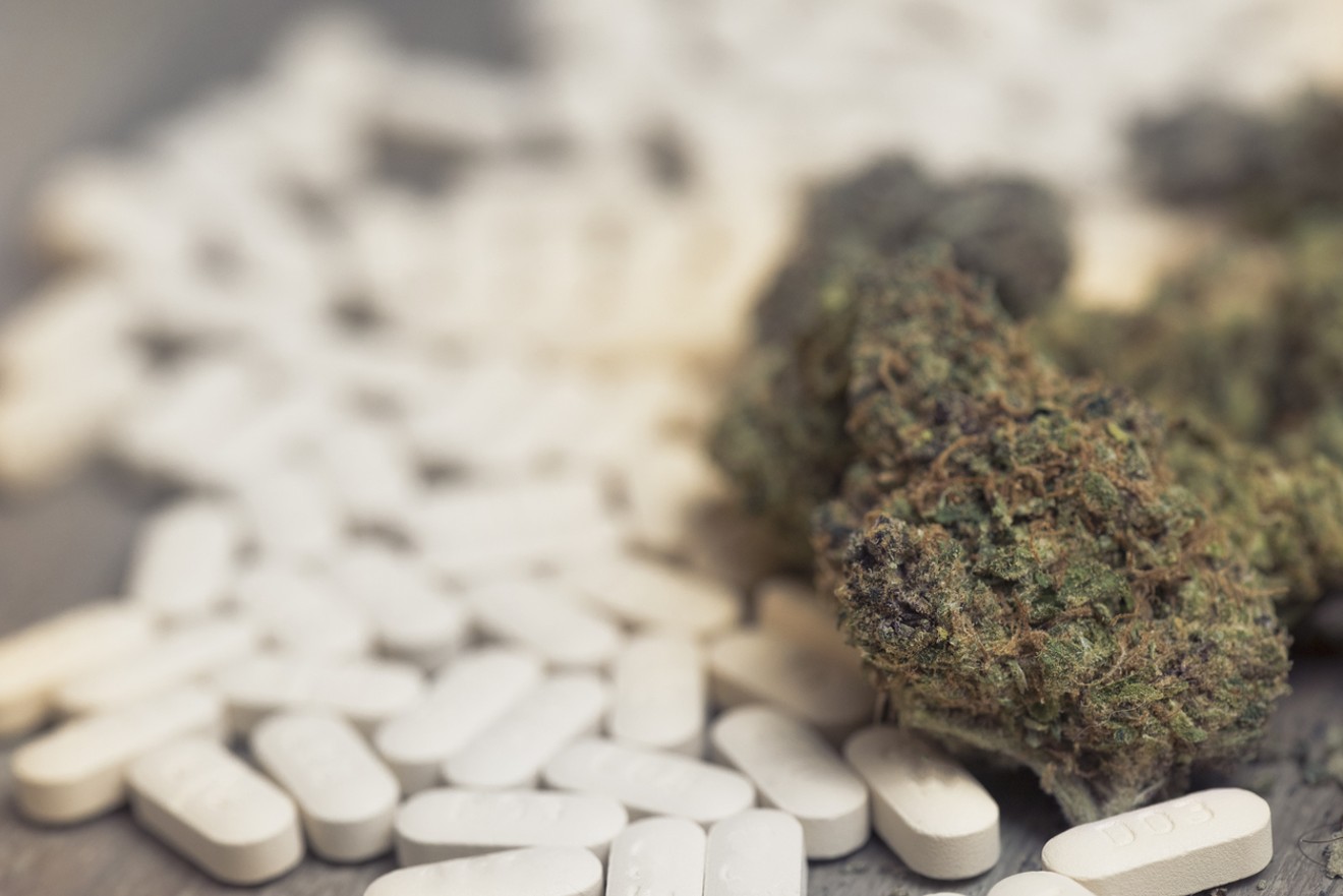 Cannabis and opioids are both used to treat pain, but their rates of addiction are still debated.