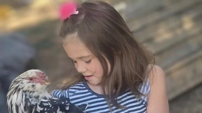 little girl hugs pet rooster