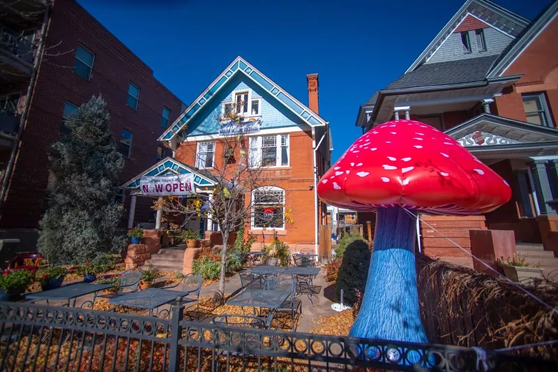 Image: The giant mushrooms outside of Plant Magic Cafe are eye-catchers.