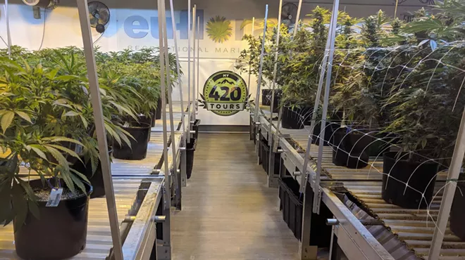 Image: My 420 Tours