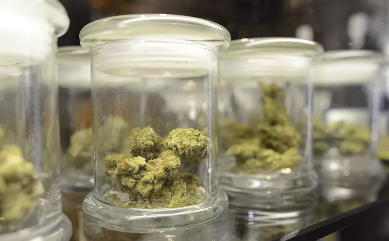 Denver Marijuana Guide | Cannabis News, Laws, Deals in Denver, CO denver-marijuana-guide-cannabis-news-laws-deals-in-denver-co