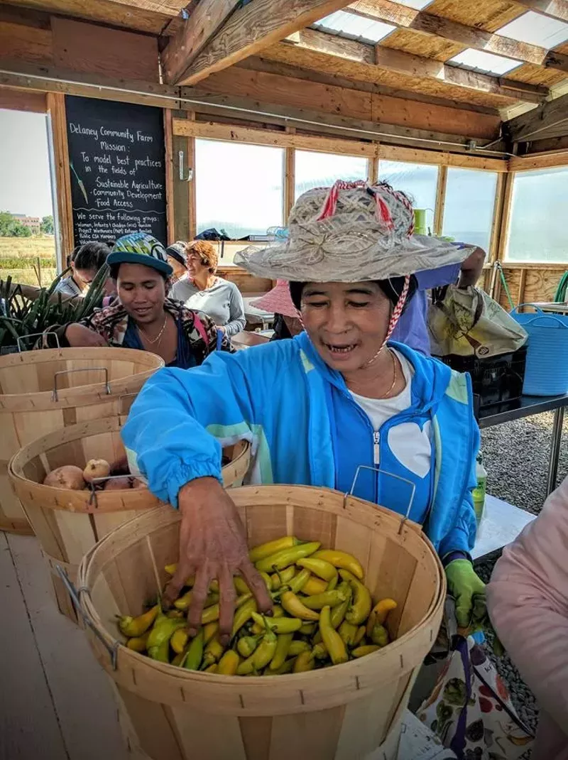 Image: Project Worthmore helps support the Delaney Community Farm, giving refugees access to urban agriculture and produce.