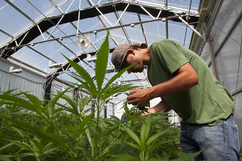 Image: Notable among the 2021 policy updates was the legalization of recreational marijuana delivery.