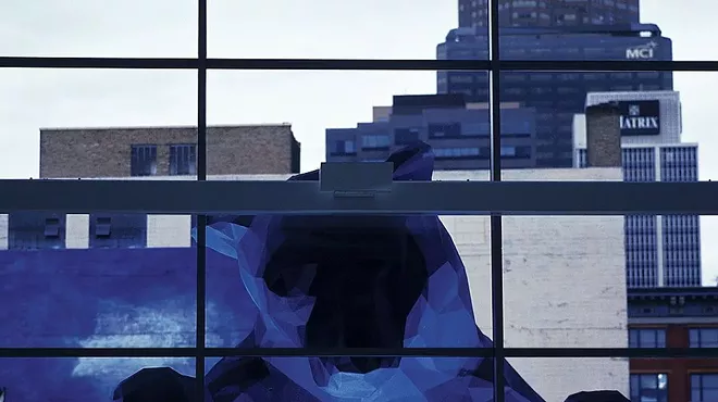 blg blue bear looking in window.