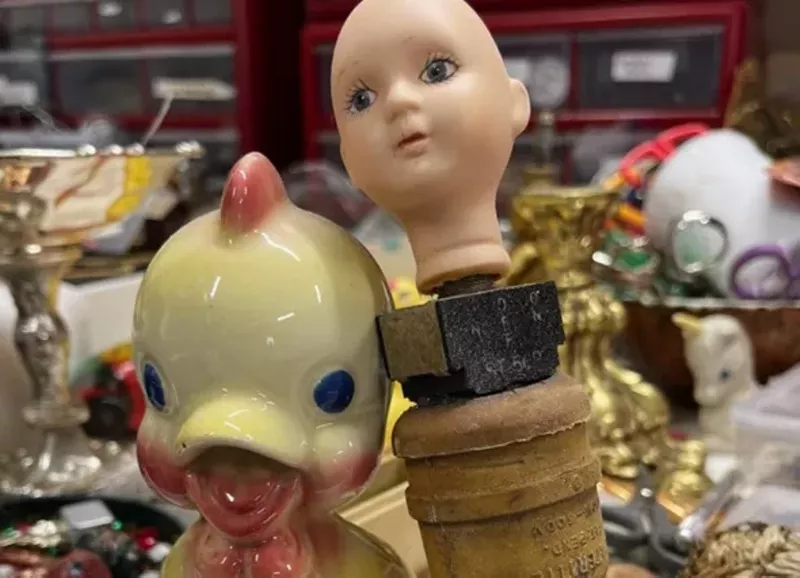Image: a duck and a plastic baby doll