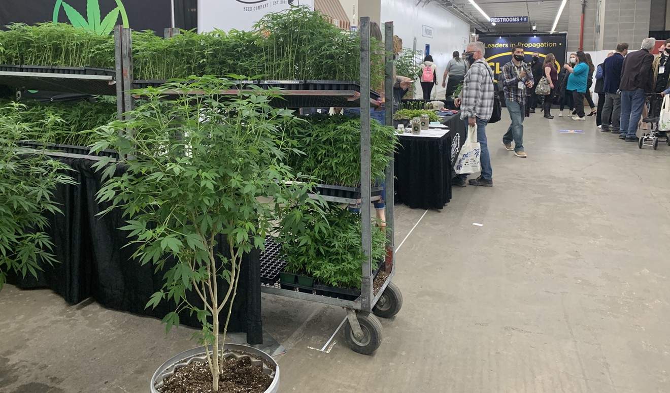 The seventh NoCo Hemp Expo was at the National Western Complex March 25 through March 27.