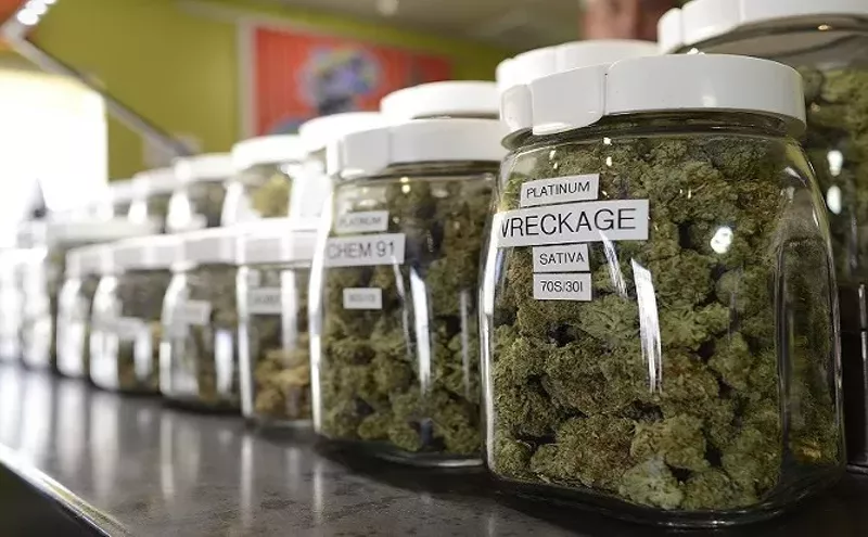 Image: Op Ed: Your Article Was an Insult to All Legitimate Cannabis Patients