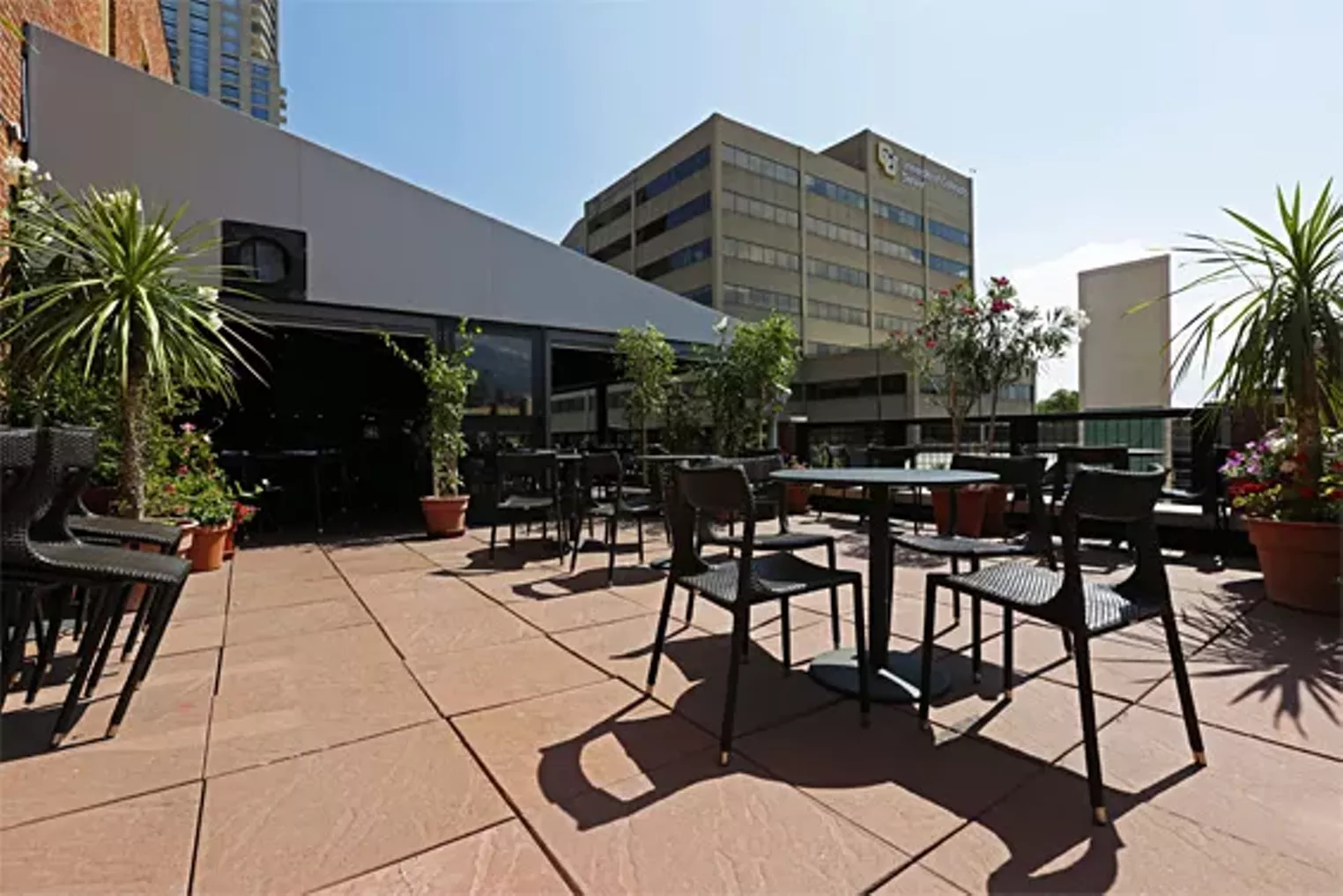 A closer look at Tamayo Denver Denver Westword The Leading