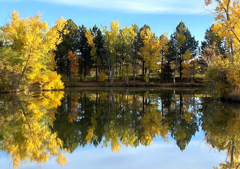 Image: park in fall with pond in front