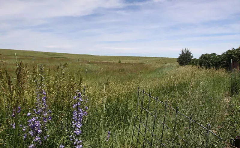 Image: Op-Ed: My Commitment to Sustainability Means Beef Will Always Have a Place on My Menus