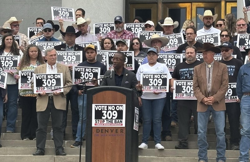 Darrell Watson addresses the crowd at an anti-309 rally.