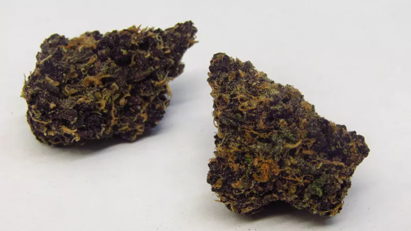 Image: Cherry Hills is used to ease stomachs and joints without the stoned mind.