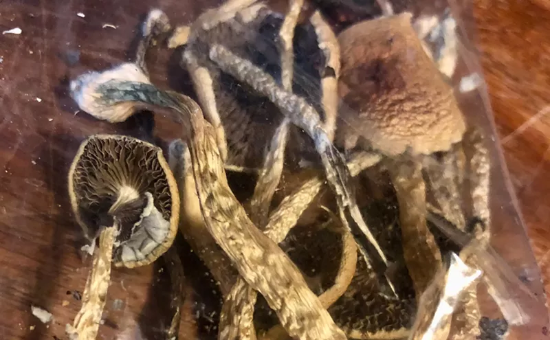 Image: Pardon Me: Governor Polis's Psilocybin Pardons May Get Broader