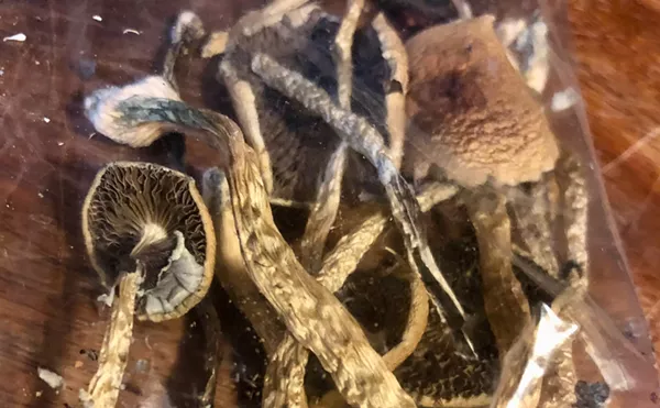 Image: Pardon Me: Governor Polis's Psilocybin Pardons May Get Broader