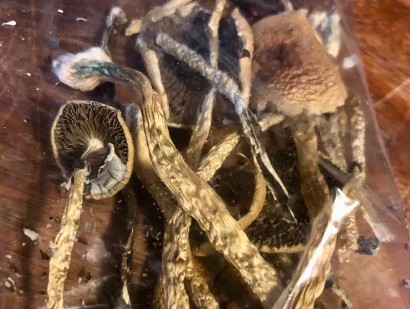 Image: Dried mushrooms in a plastic baggy