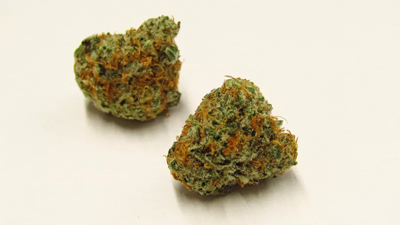 Image: Peach Crescendo cannabis strain